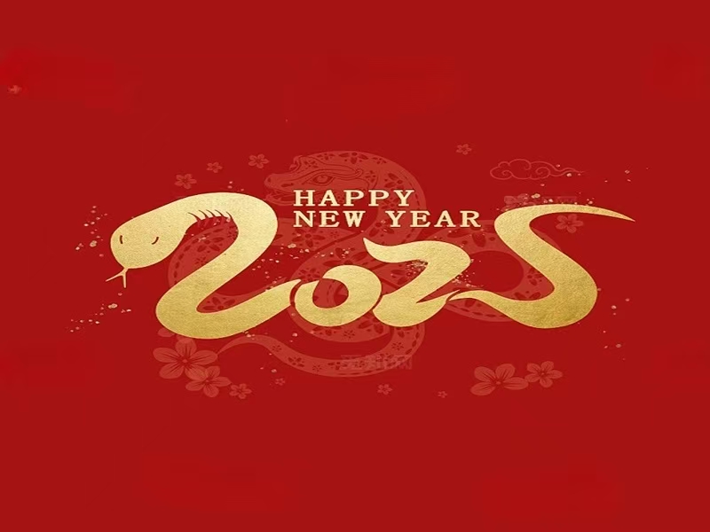 Happy New Year 2025