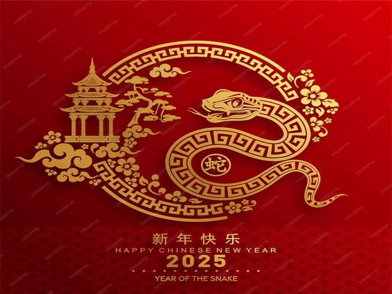 Notice of Chinese New Year Holiday 2025